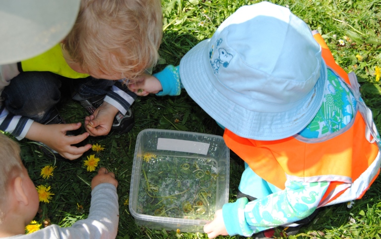 Children puting dandelions into a plastic can with water