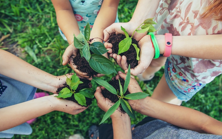 Children´s hands in a circle holding plants 