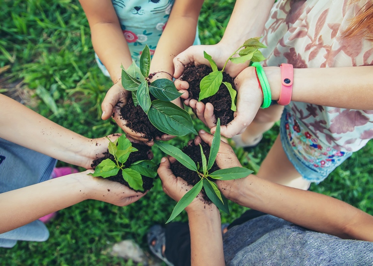 Children plant plants together in their hands selective. Photos Yana Tatevosian