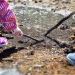 Barn leker i en vattenpöl. Foto: Niklasa Björling.